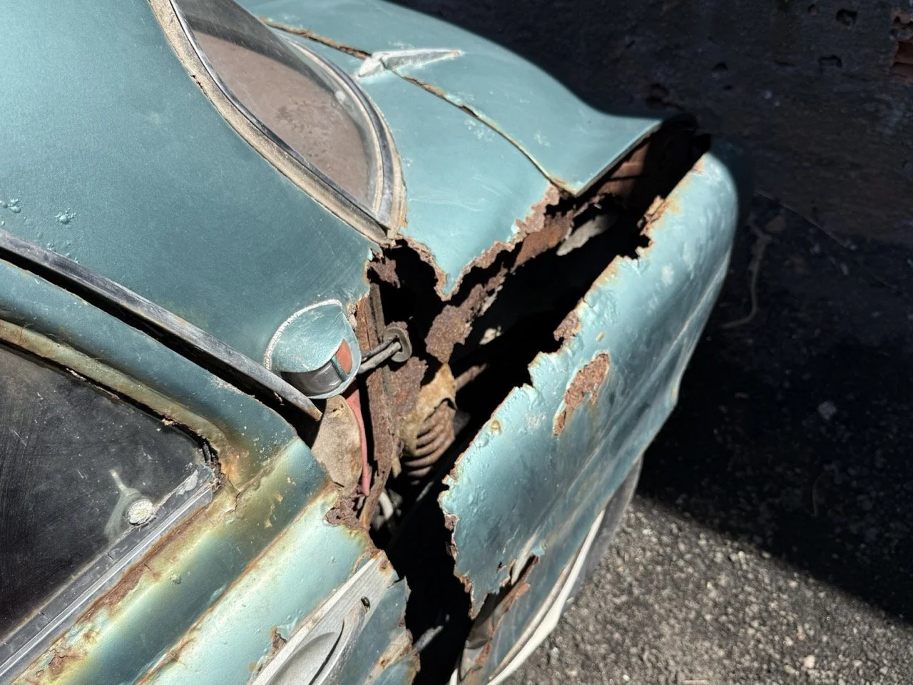 IMG_0880 – grande.jpeg