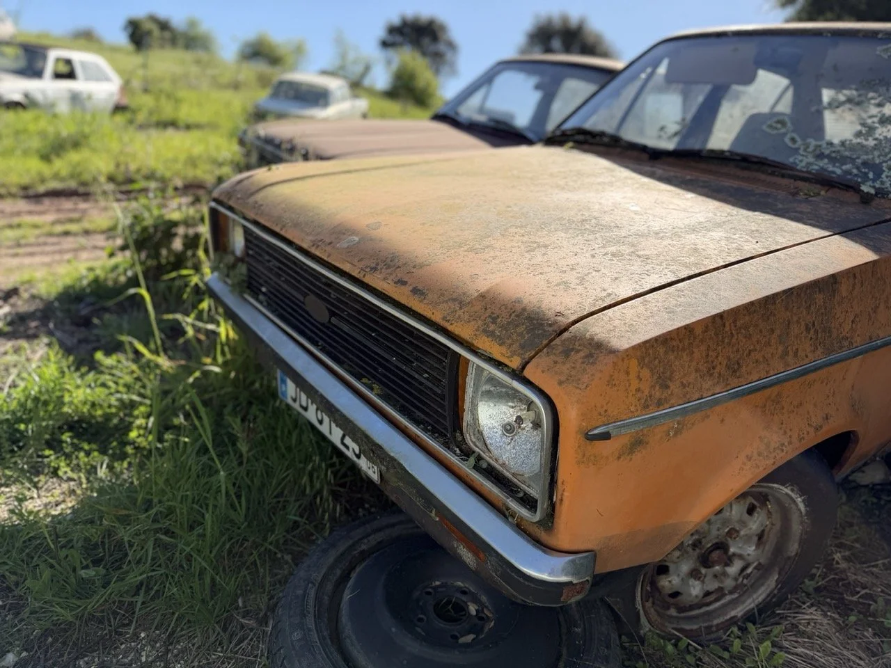 IMG_7691 – grande.jpeg