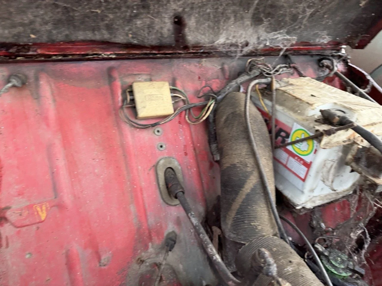 IMG_5527 – grande.jpeg