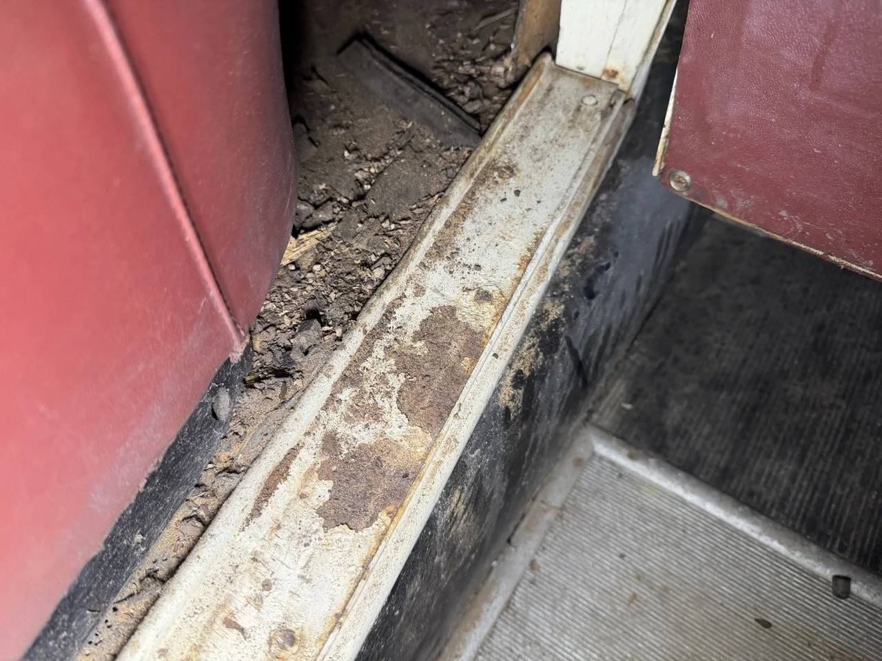 IMG_2442 – grande.jpeg