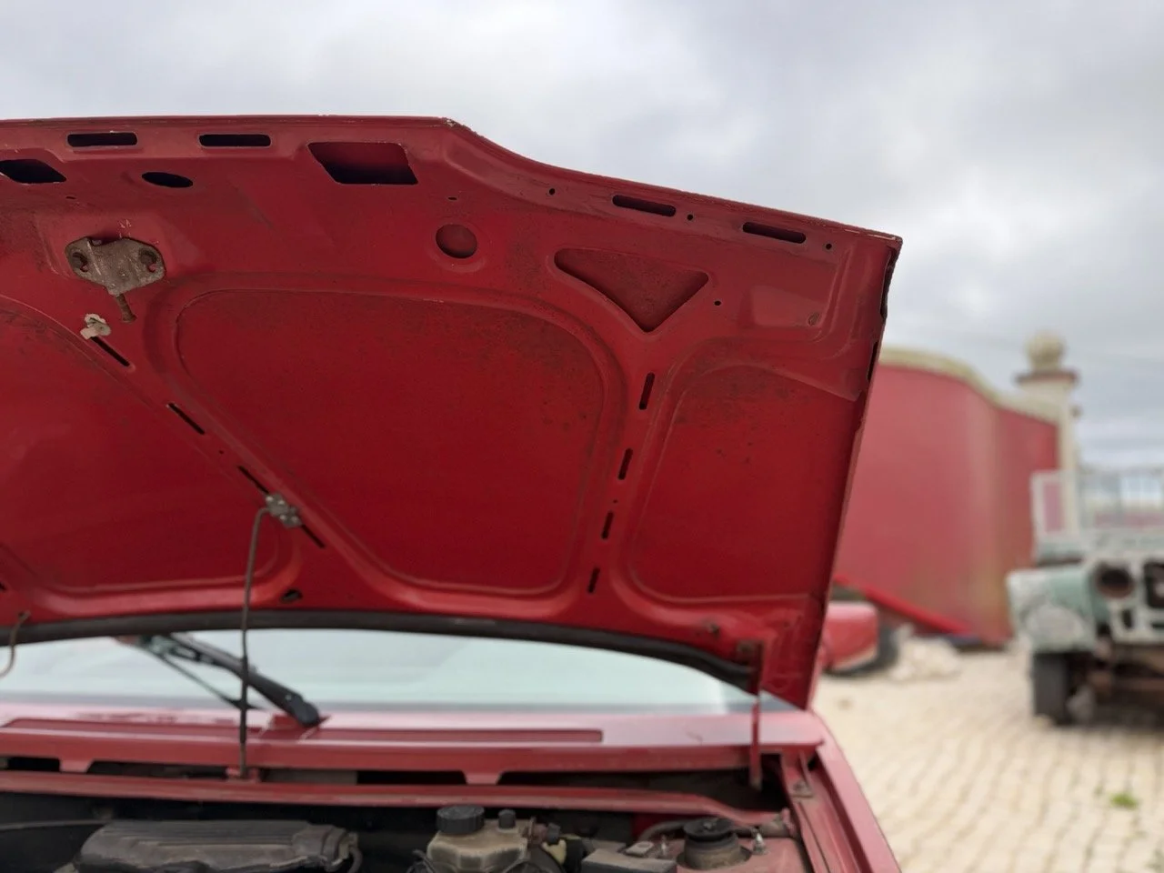 IMG_3604 – grande.jpeg