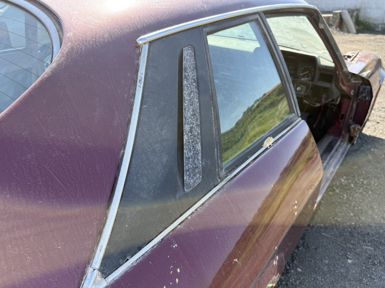 IMG_2994 – grande.jpeg