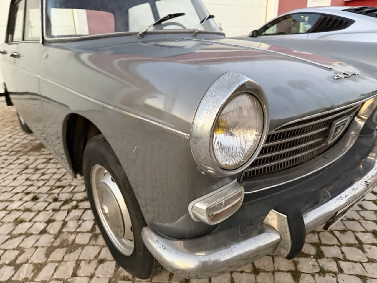 IMG_7544 – grande.jpeg