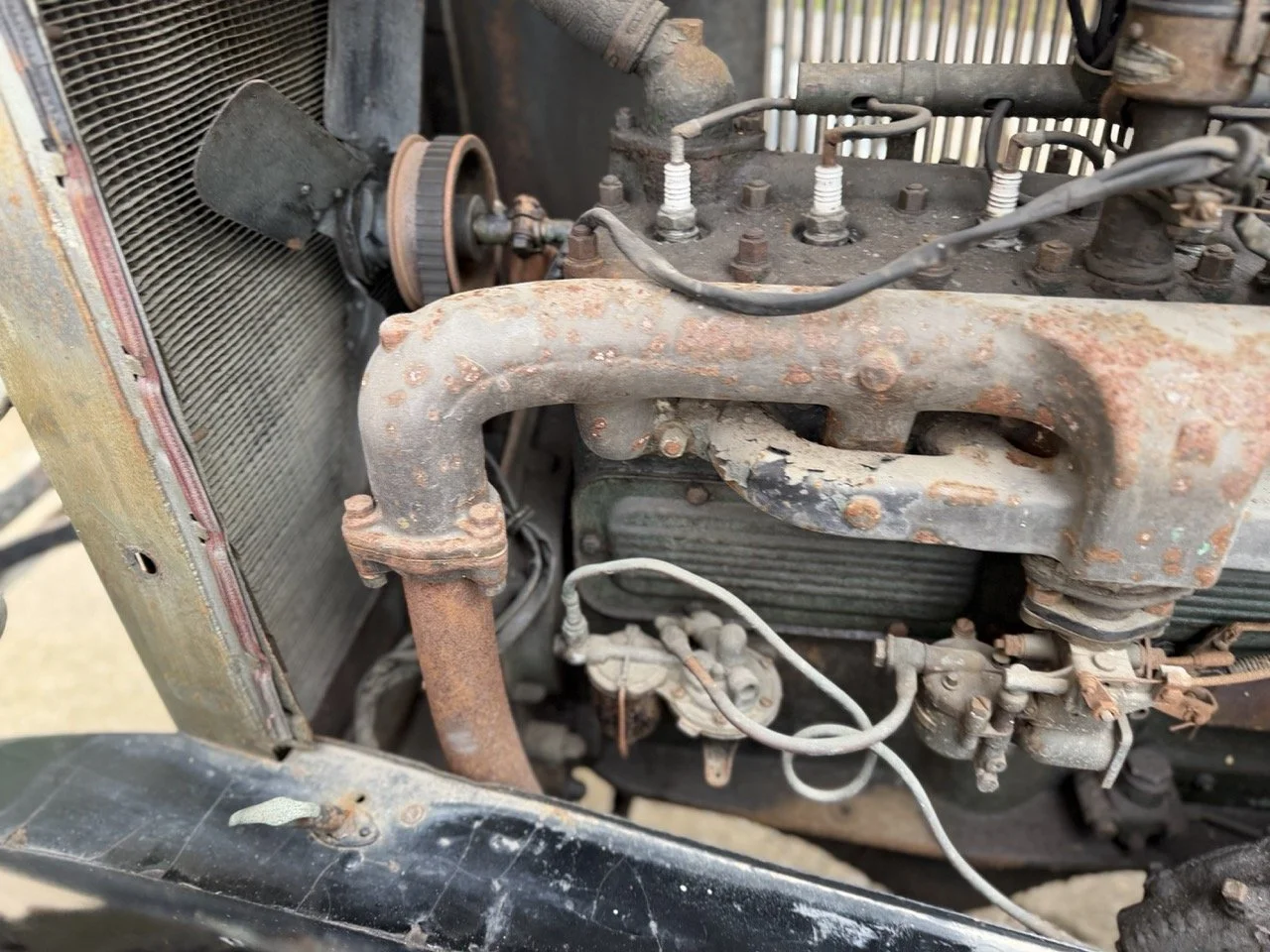 IMG_1701 – grande.jpeg