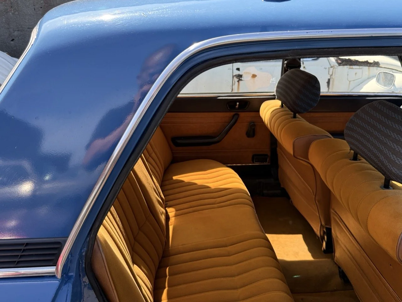 IMG_0778 – grande.jpeg