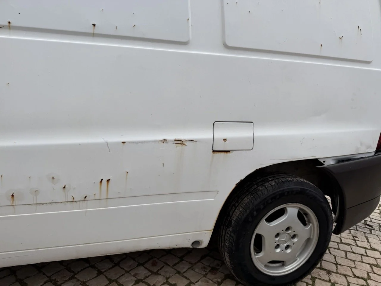 IMG_9550 – grande.jpeg