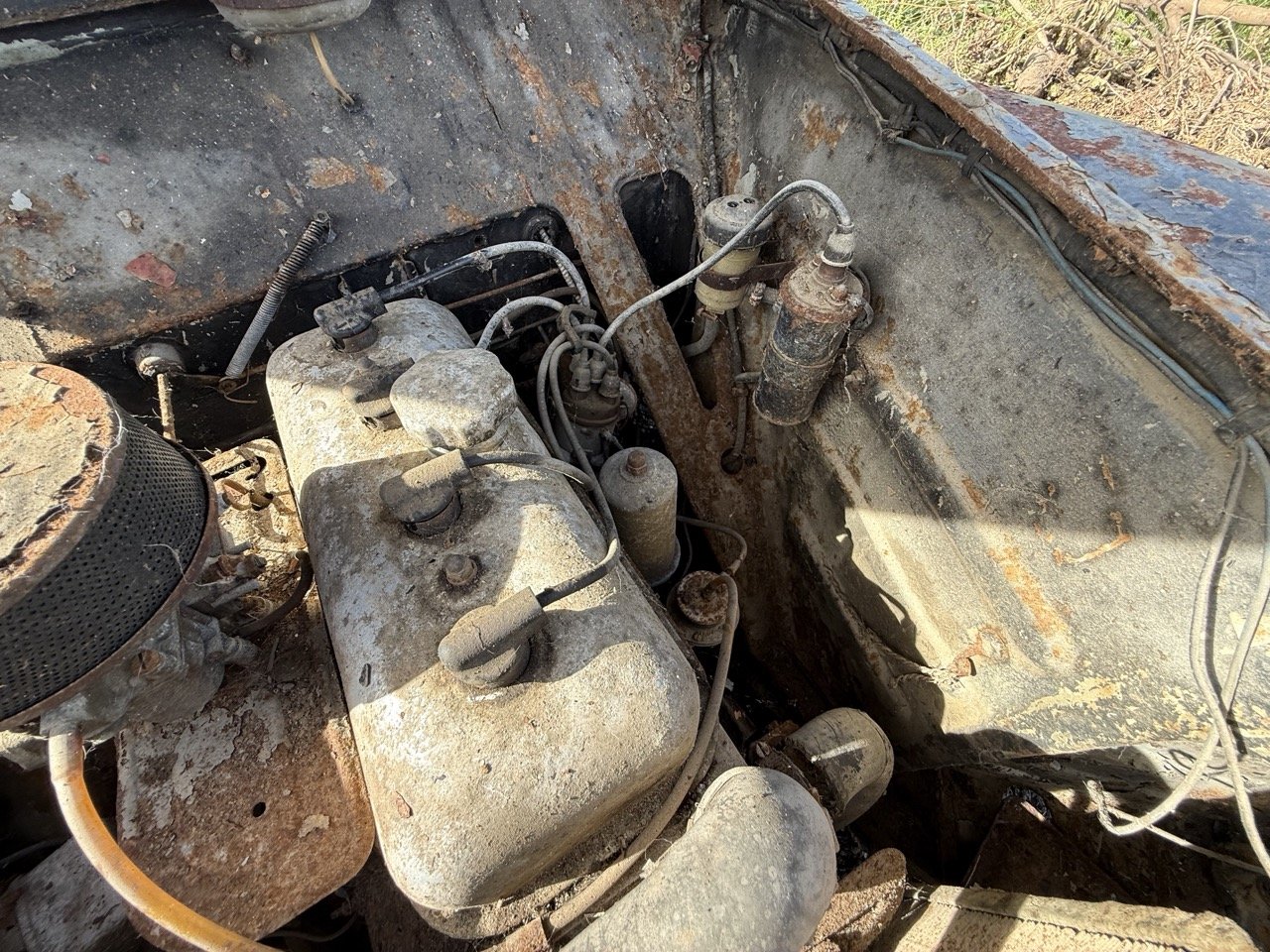 IMG_0418 – grande.jpeg