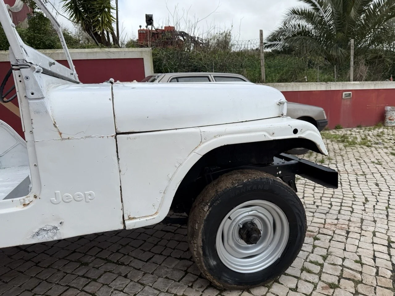 IMG_3914 – grande.jpeg