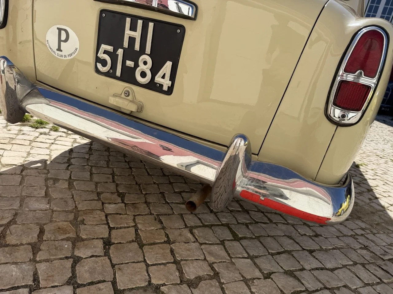 IMG_6729 – grande.jpeg