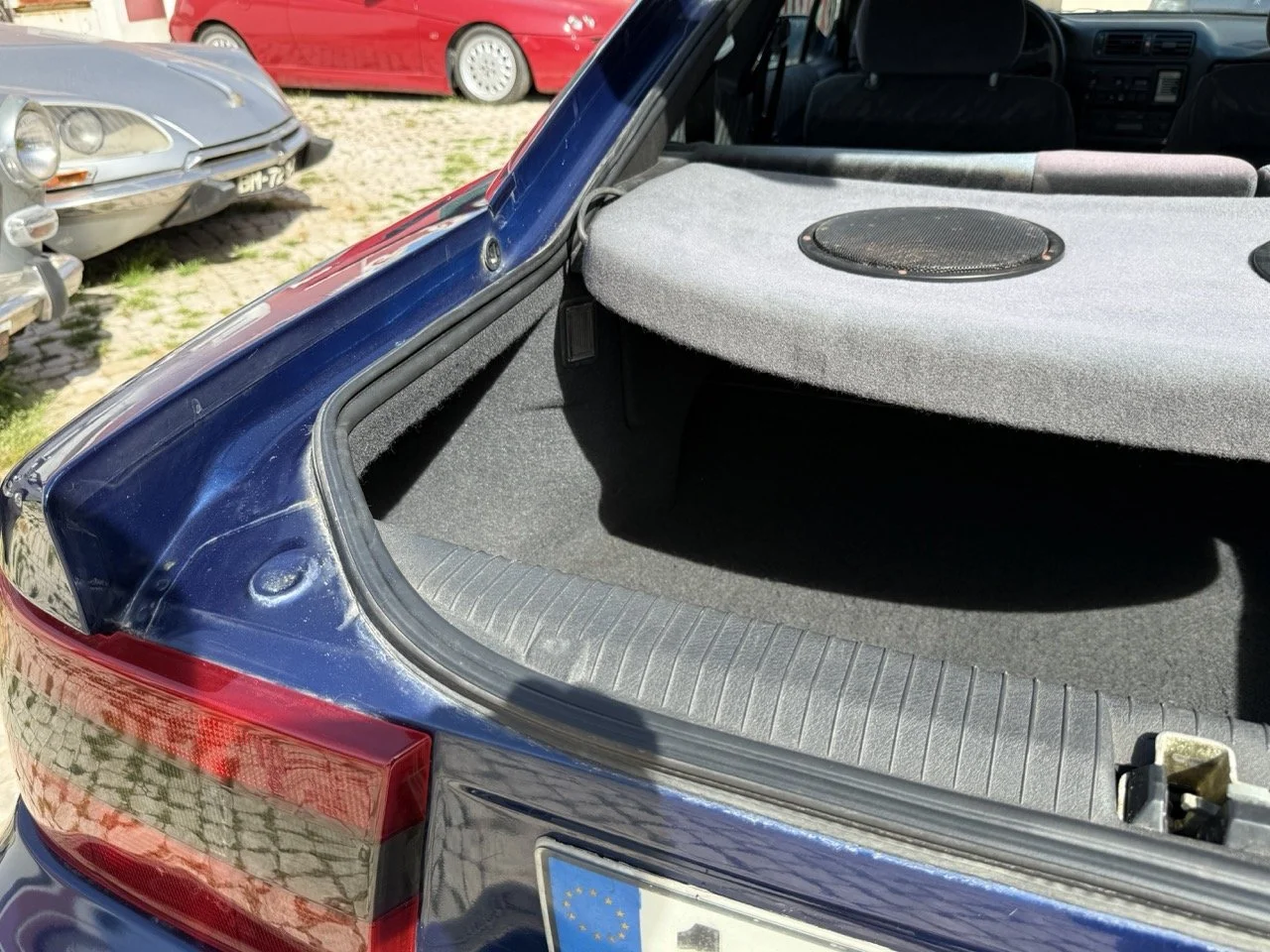 IMG_2472 – grande.jpeg