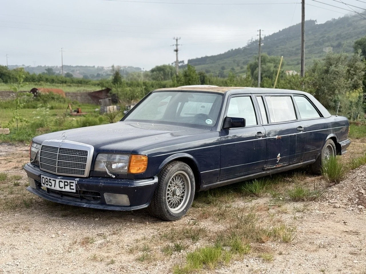 IMG_3356 – grande.jpeg