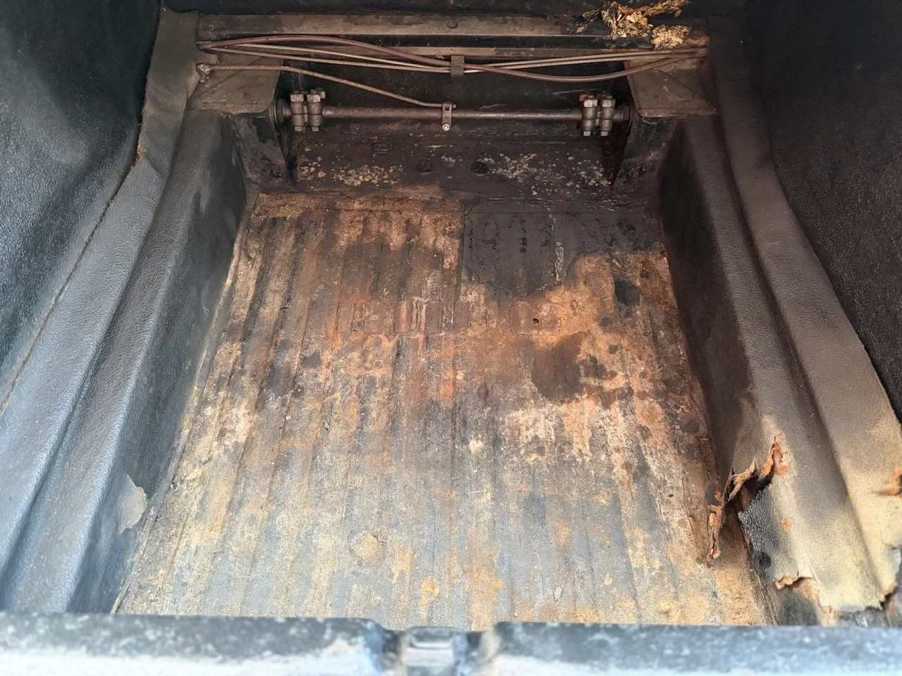 IMG_5944 – grande.jpeg