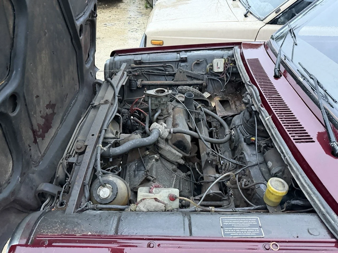 IMG_0305 – grande.jpeg