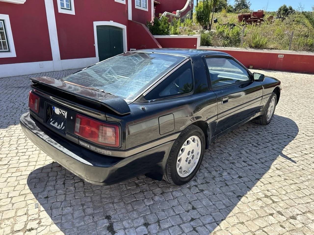 IMG_3038 – grande.jpeg