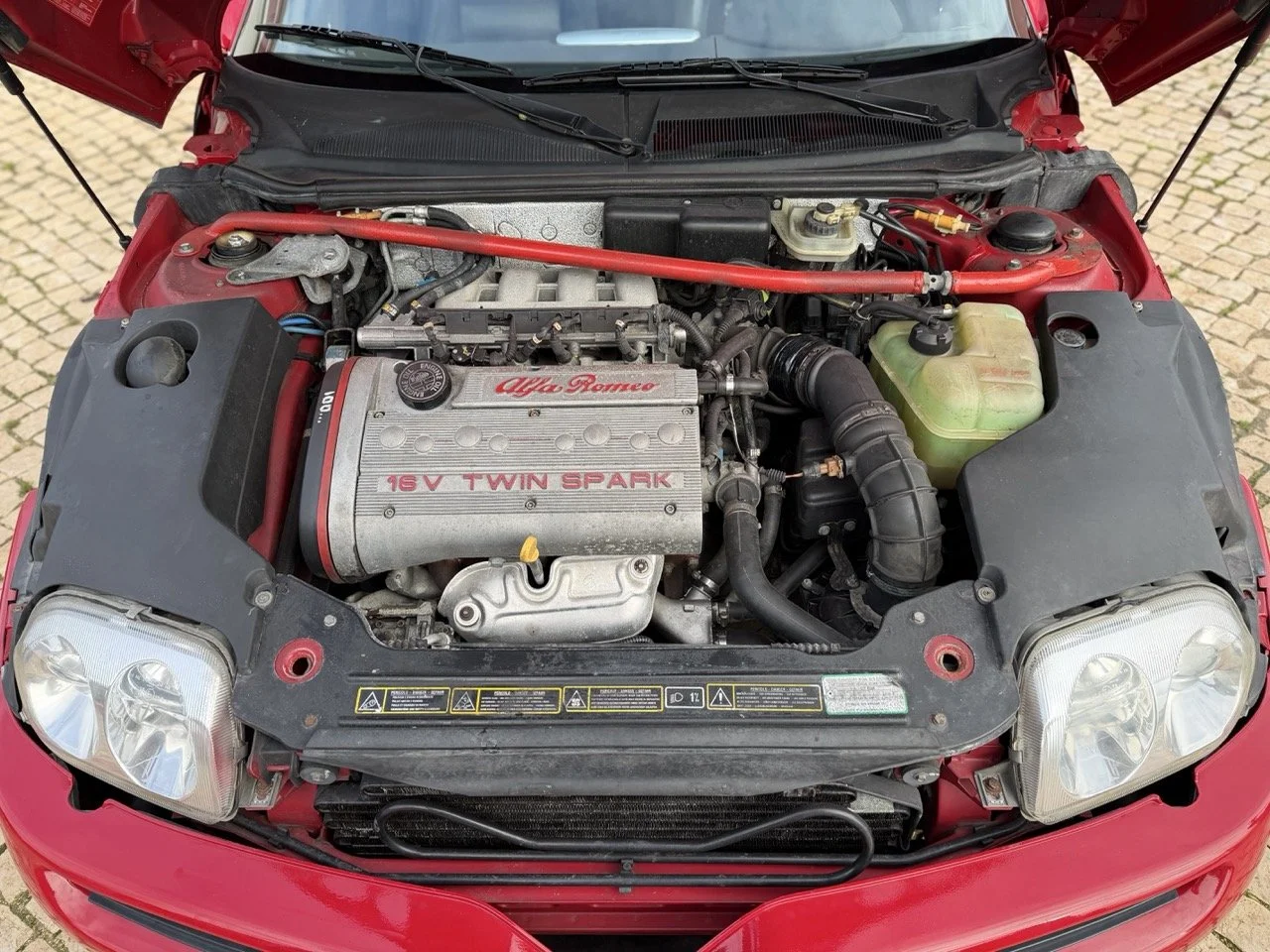 IMG_2262 – grande.jpeg