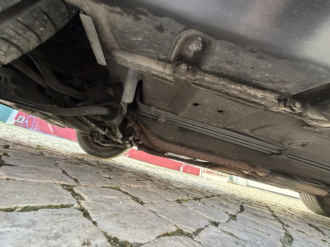 IMG_7024 2 – grande.jpeg