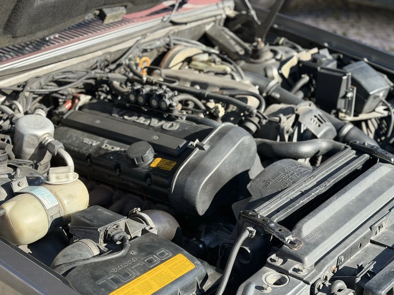 IMG_1976 – grande.jpeg