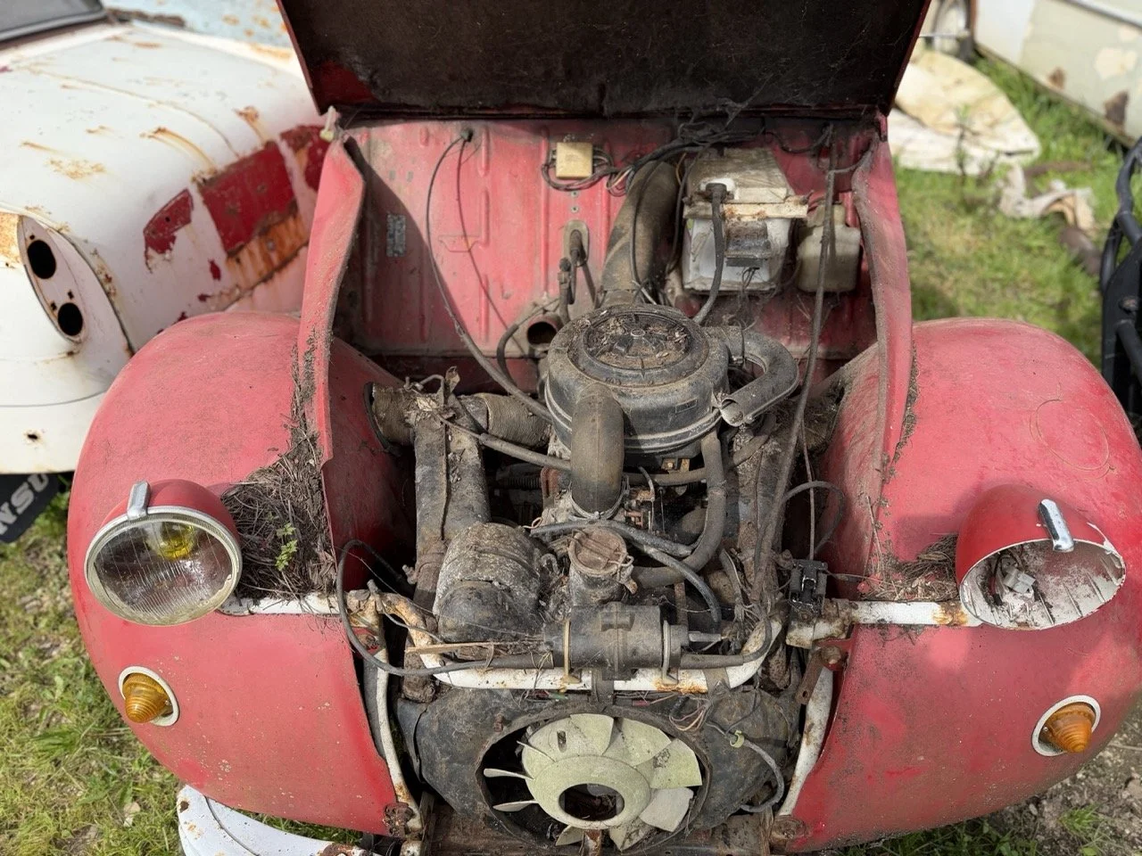 IMG_3858 – grande.jpeg