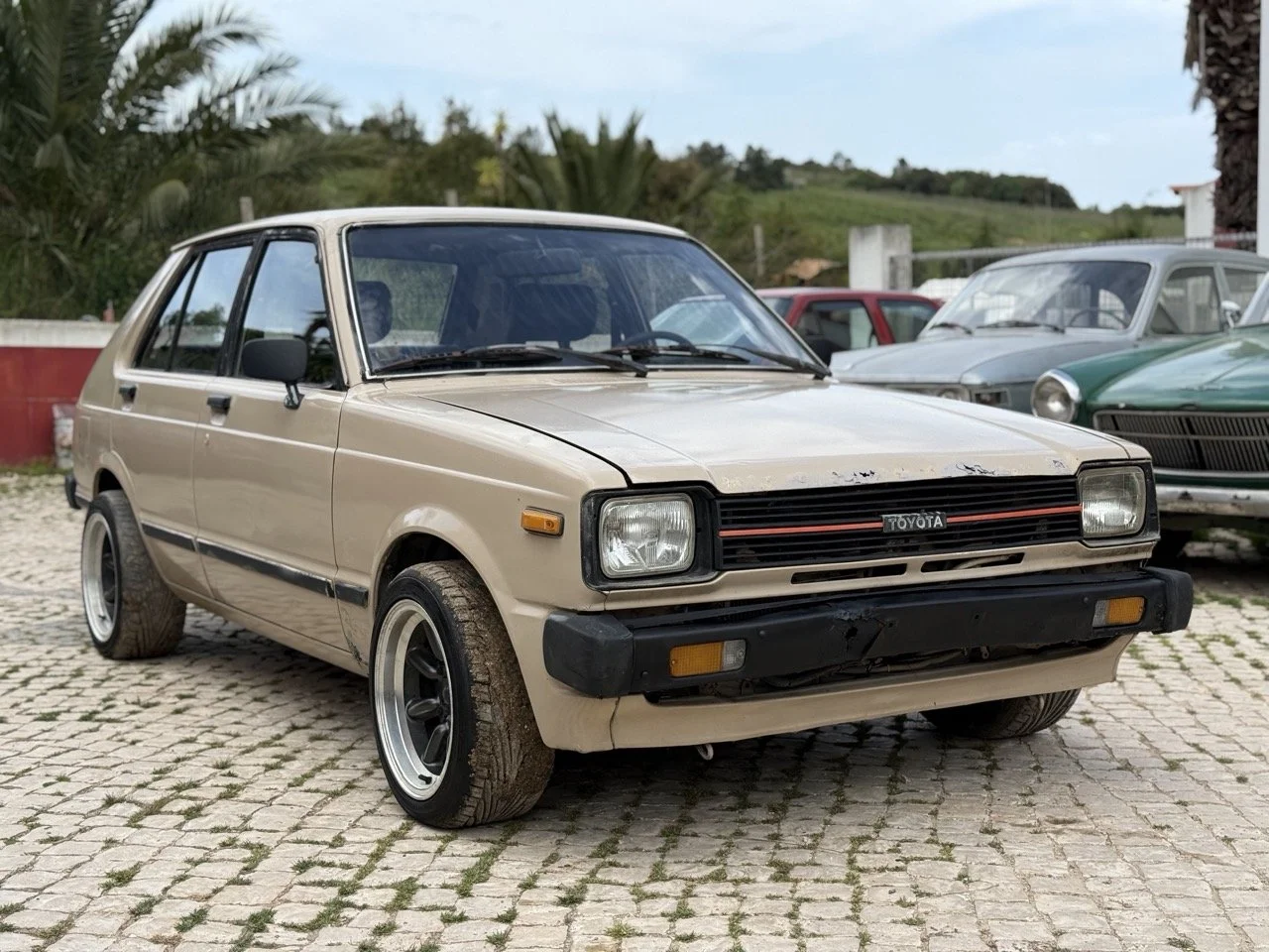 IMG_8667 – grande.jpeg