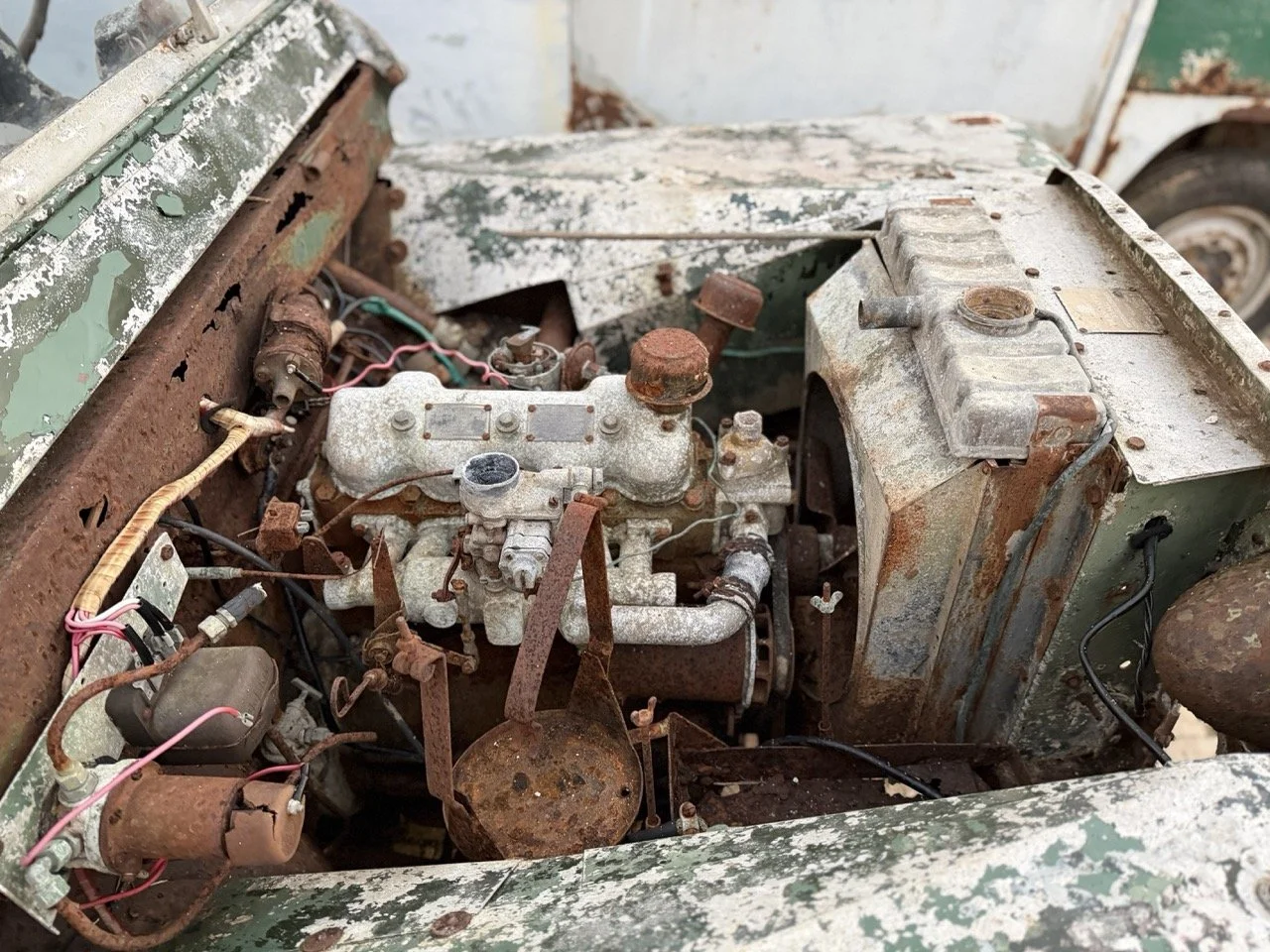 IMG_7434 – grande.jpeg