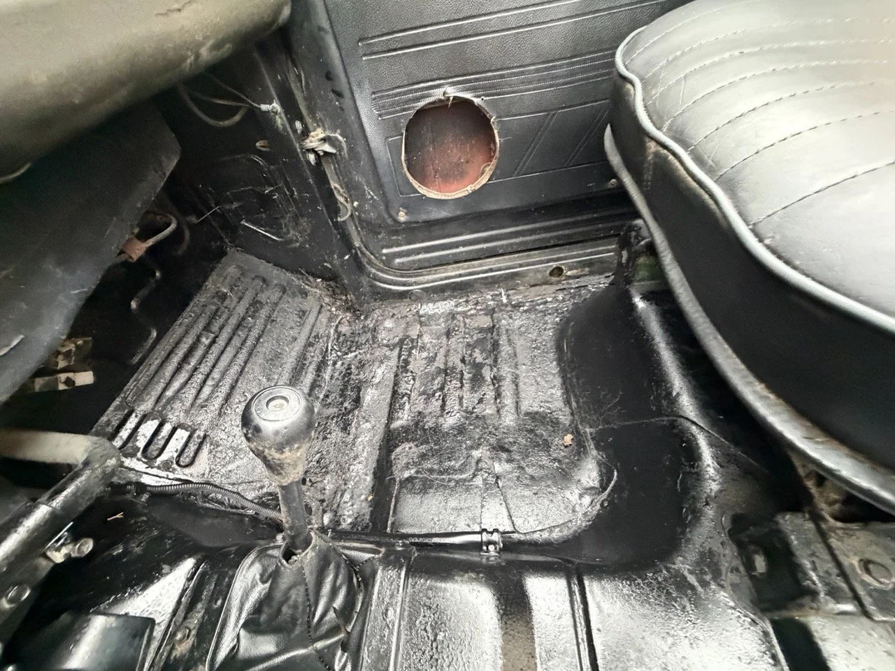 IMG_6541 – grande.jpeg