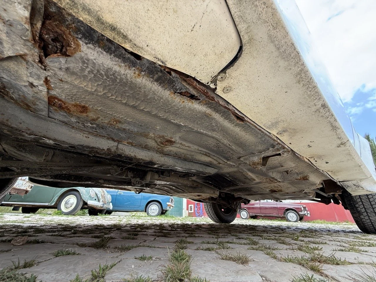 IMG_8628 – grande.jpeg