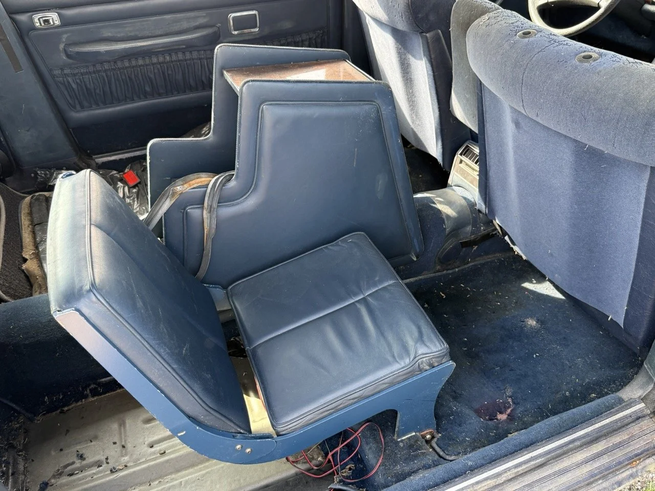 IMG_3433 – grande.jpeg