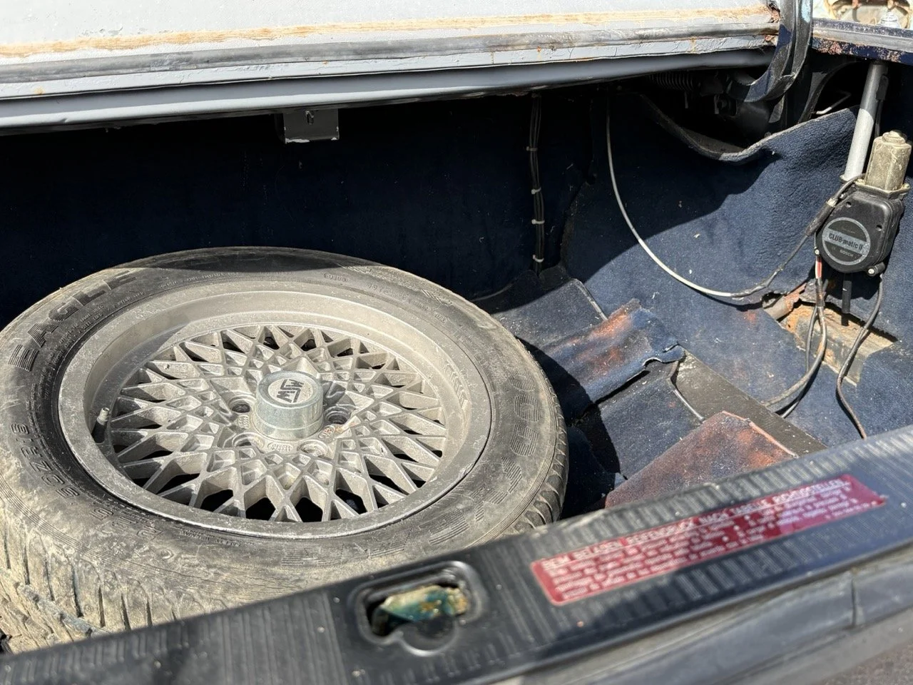 IMG_3396 – grande.jpeg