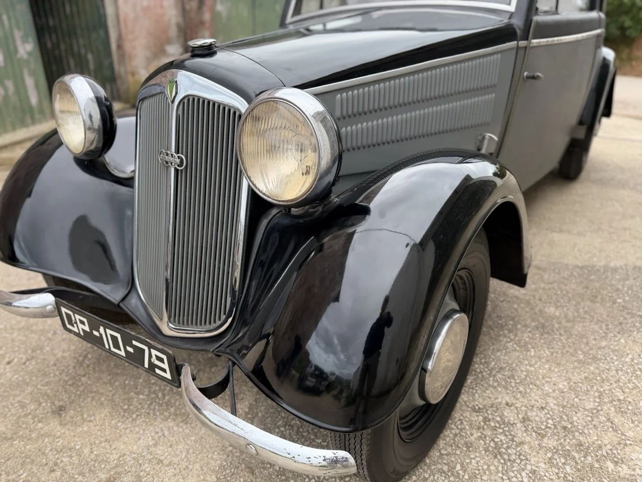 IMG_1467 – grande.jpeg