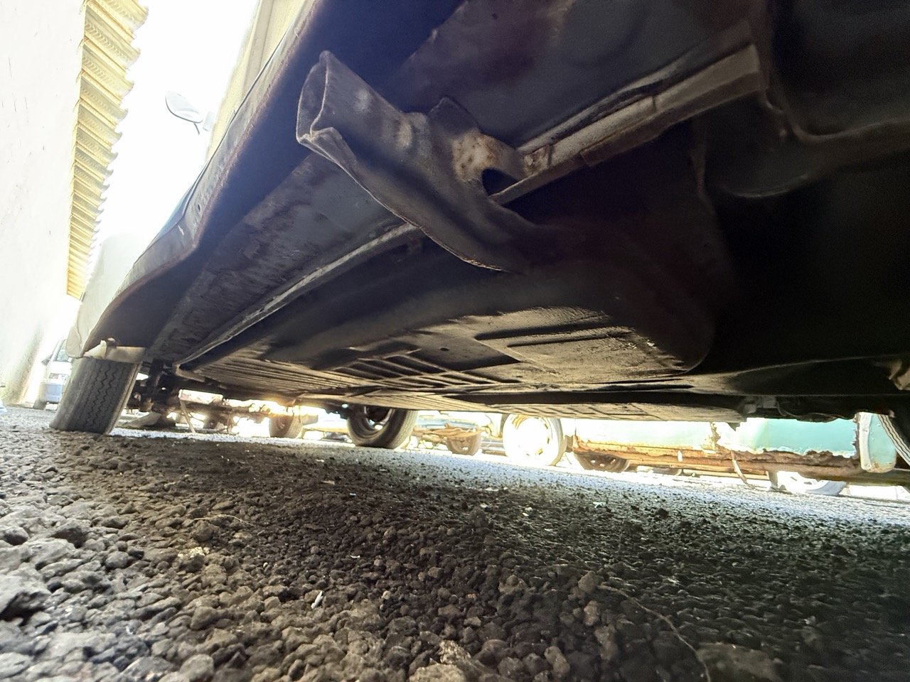 IMG_0721 – grande.jpeg