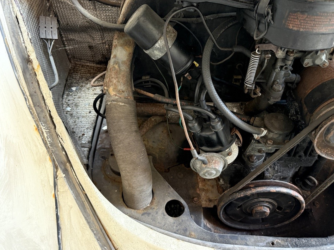 IMG_0705 – grande.jpeg