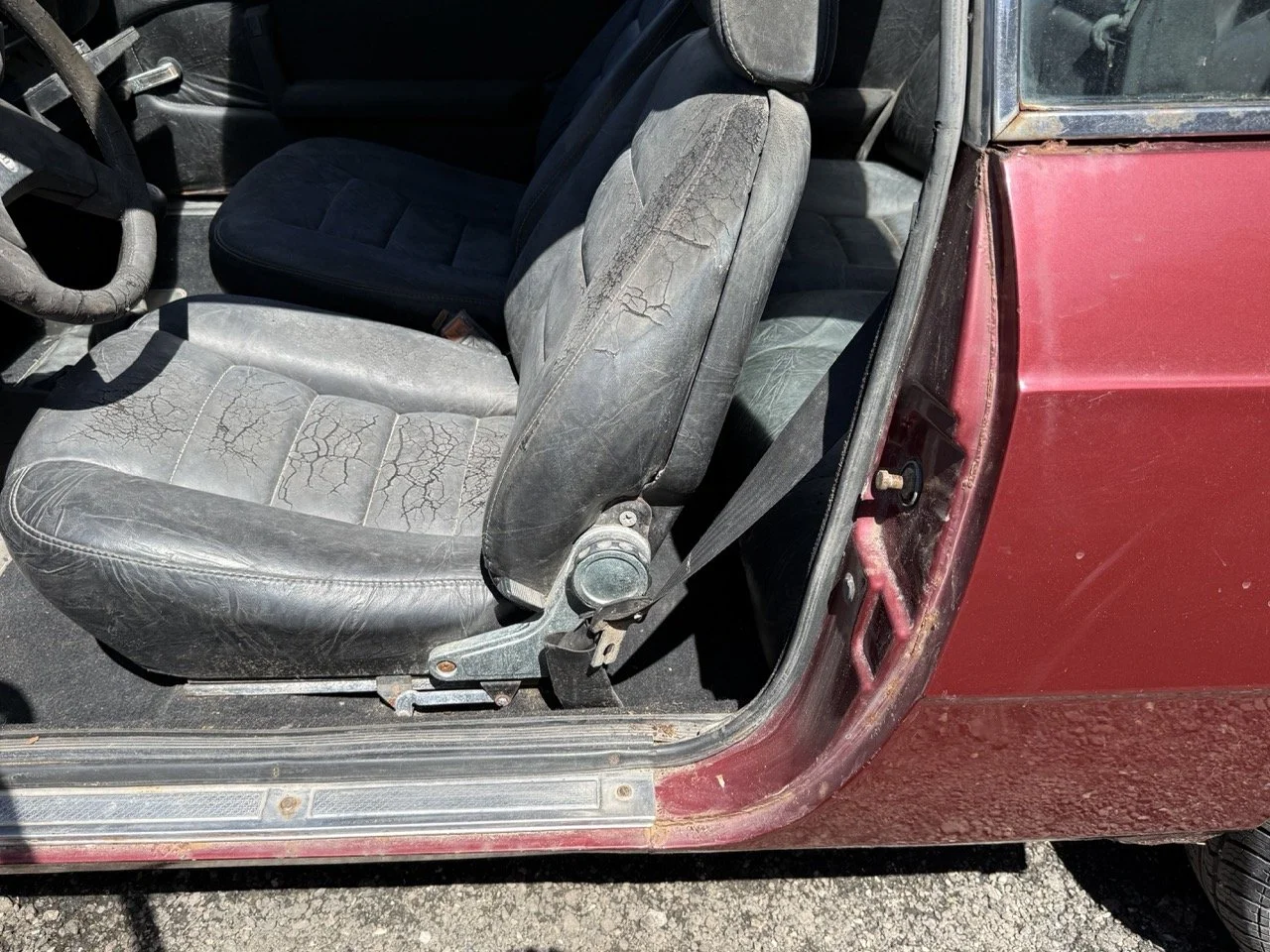 IMG_0934 – grande.jpeg