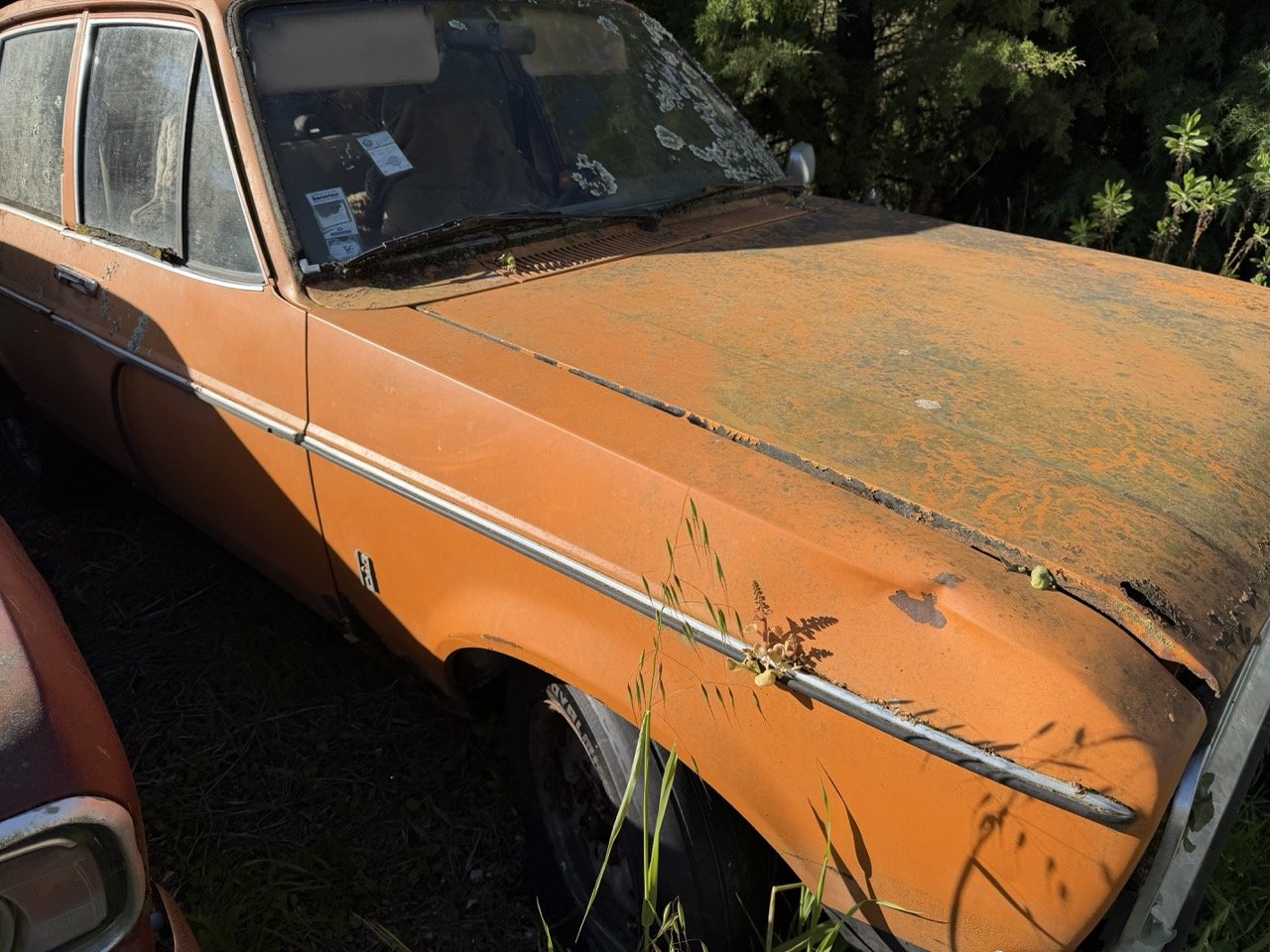 IMG_7710 – grande.jpeg