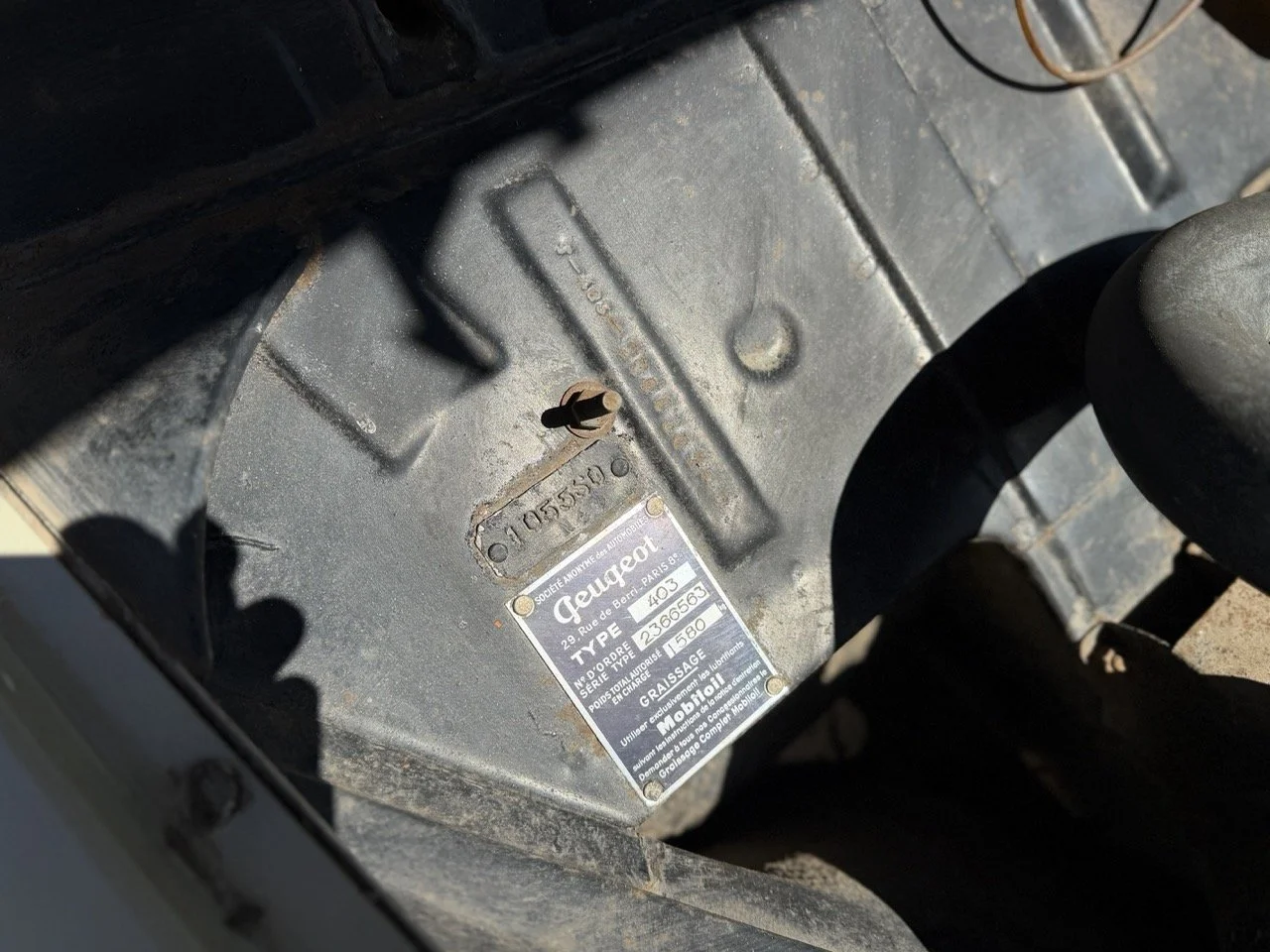 IMG_6666 – grande.jpeg