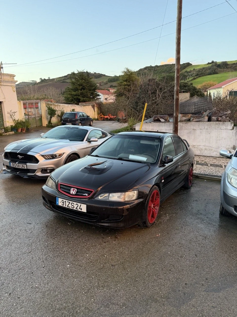 IMG_3732 – grande.jpeg