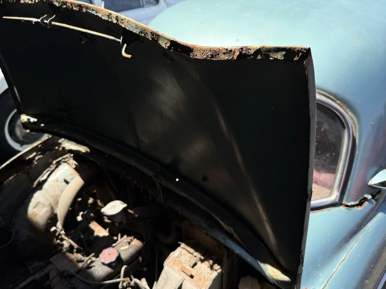 IMG_0871 – grande.jpeg