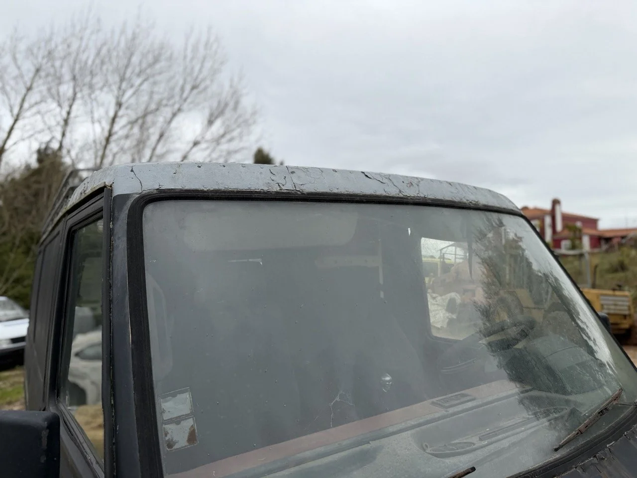 IMG_1305 – grande.jpeg