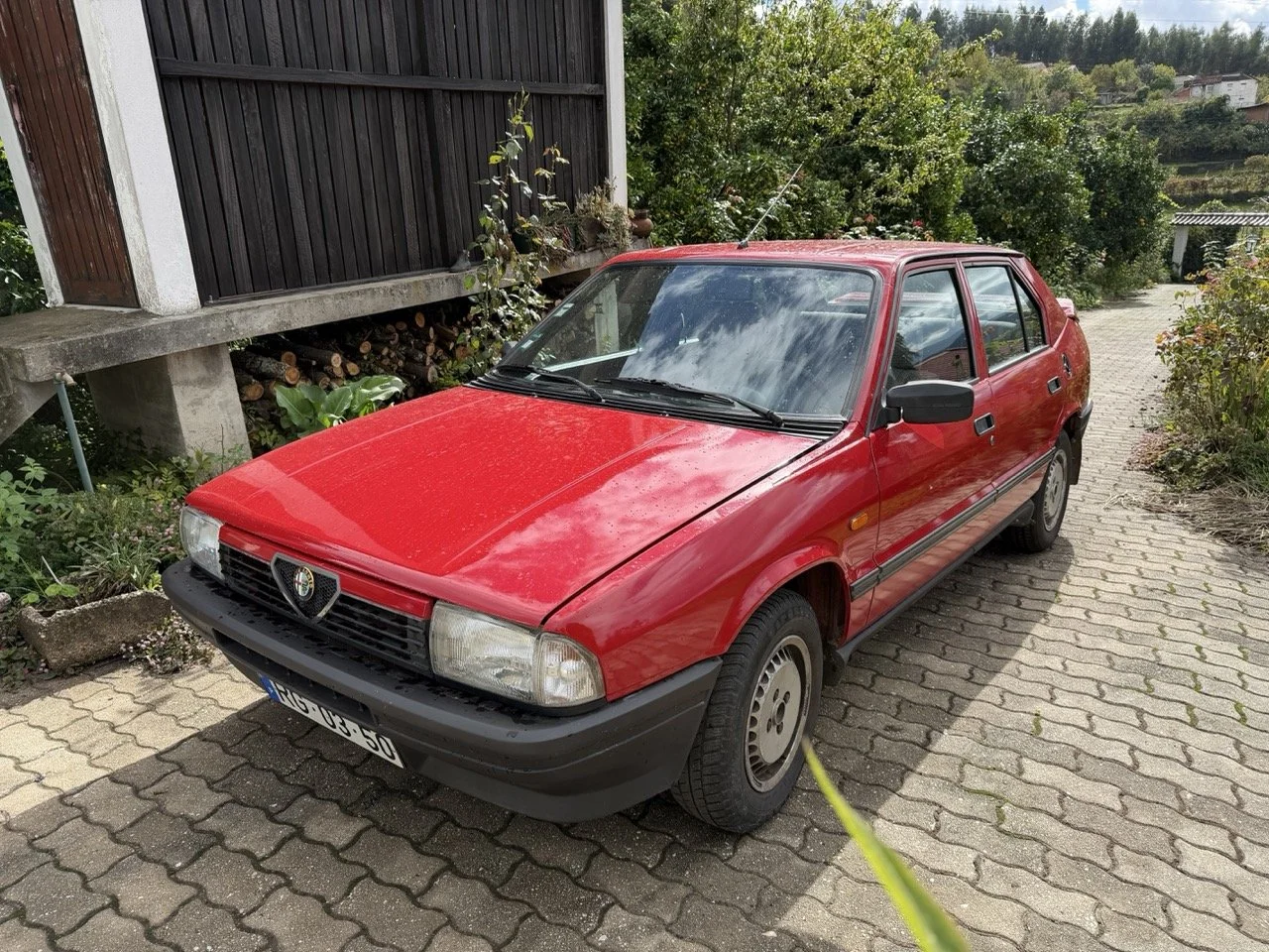 IMG_3291 – grande.jpeg