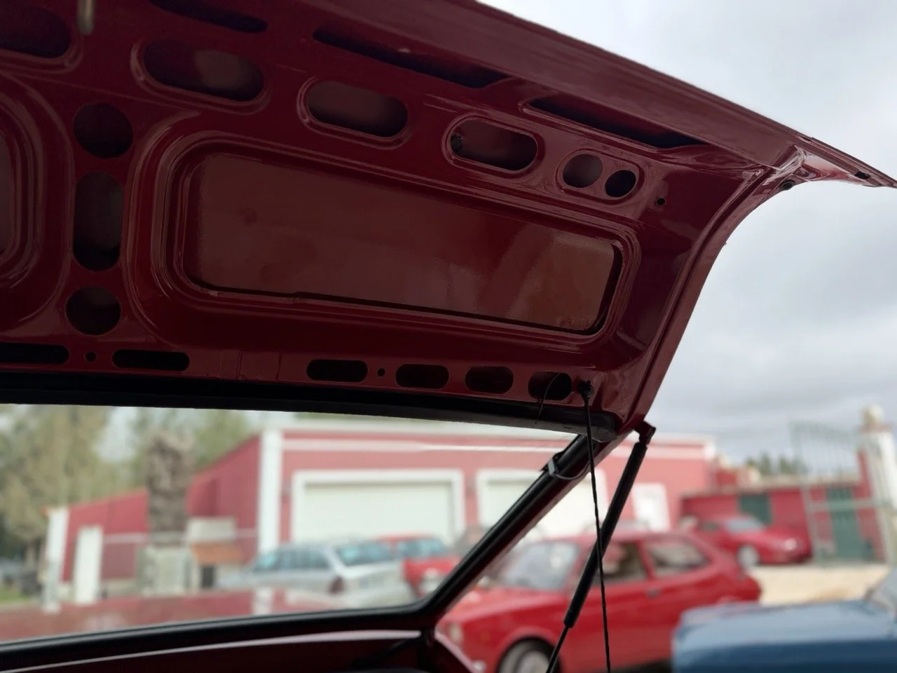 IMG_3491 – grande.jpeg