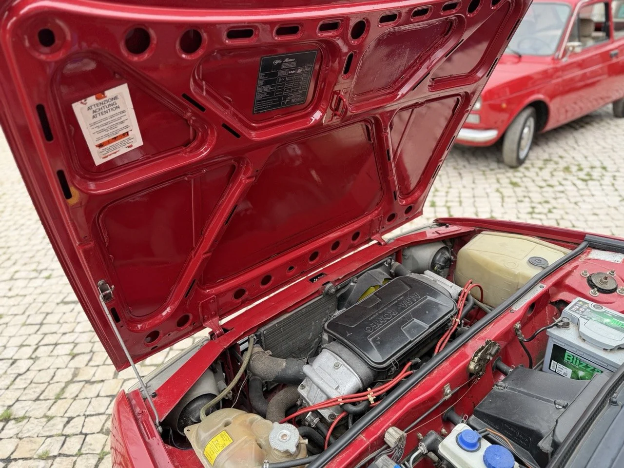 IMG_3472 – grande.jpeg