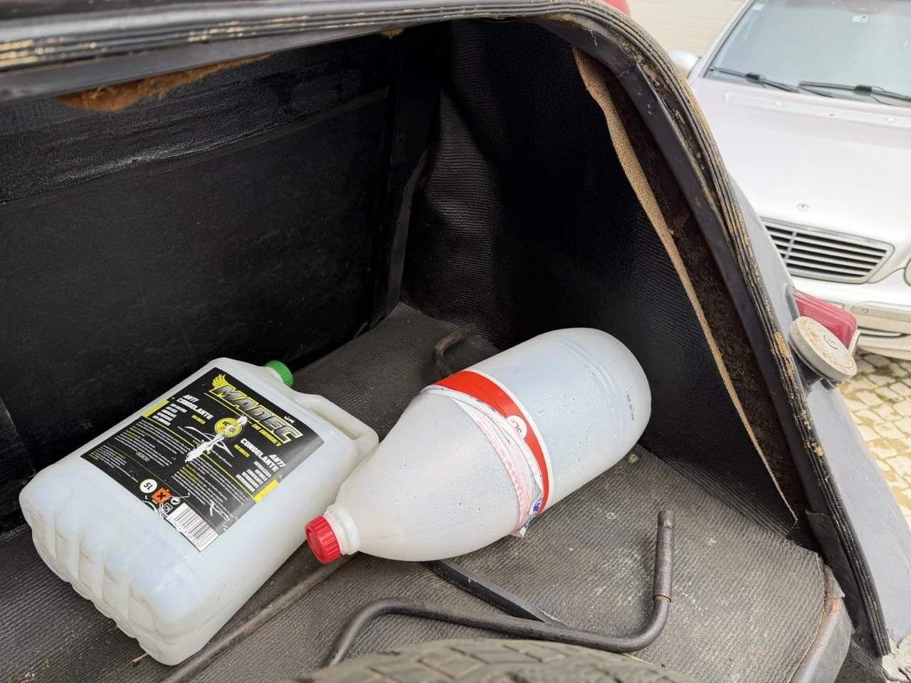 IMG_1859 – grande.jpeg