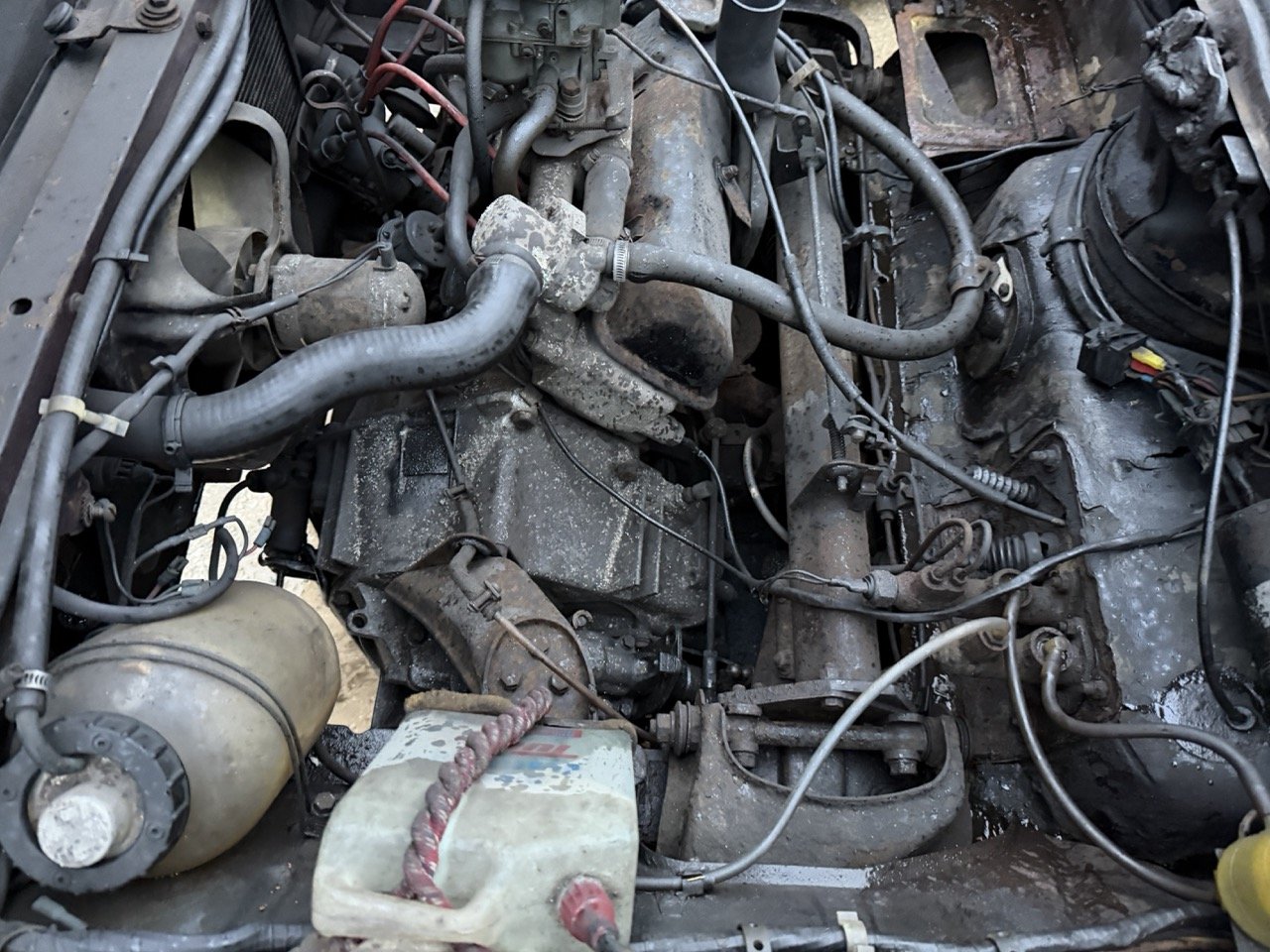 IMG_0309 – grande.jpeg