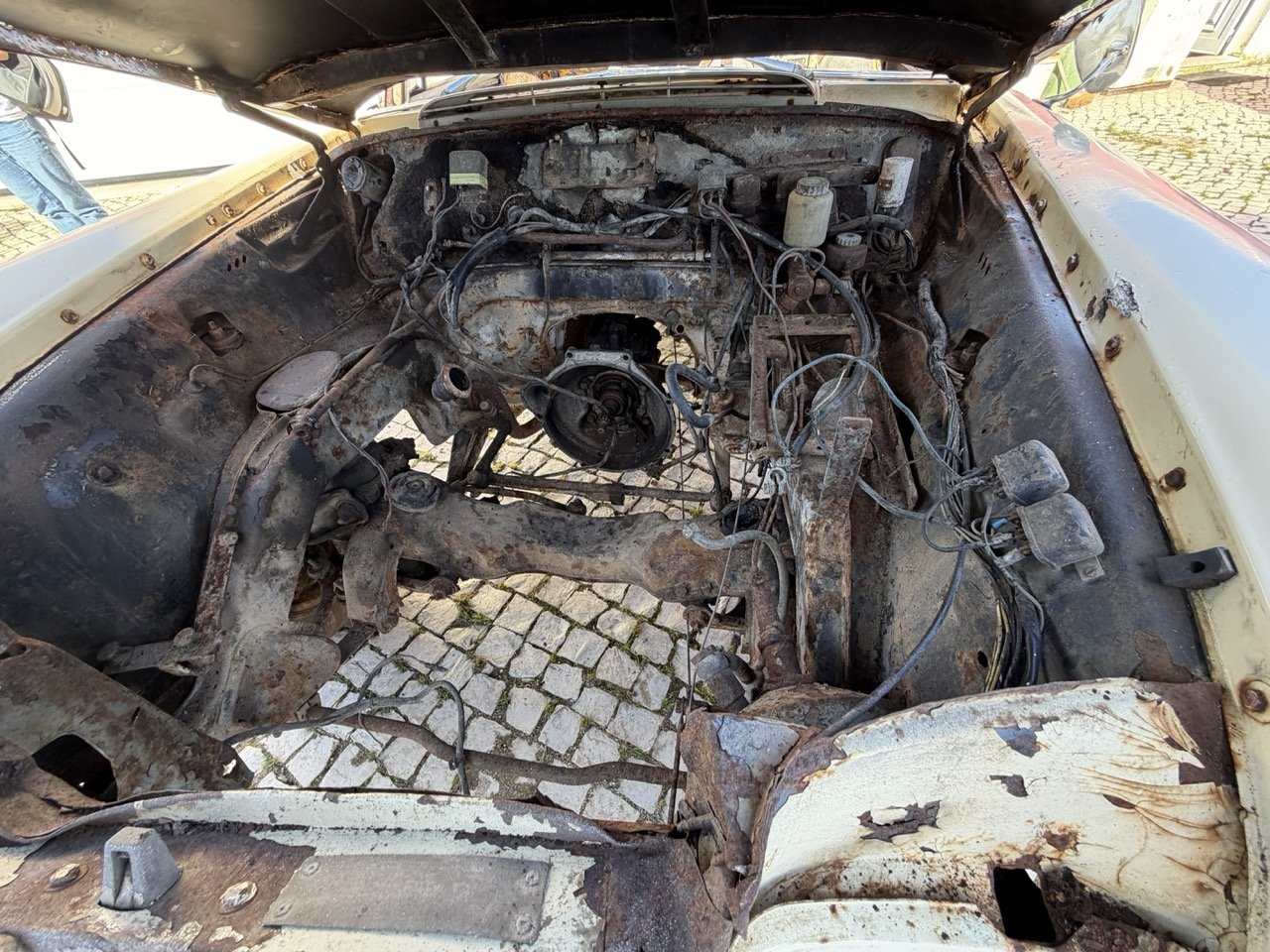 IMG_7108 – grande.jpeg