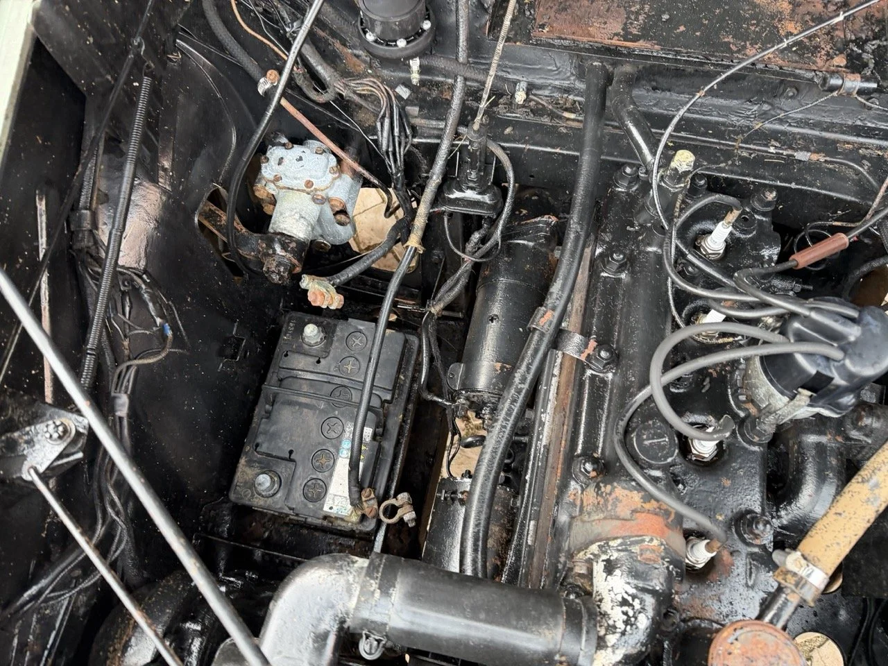 IMG_9842 – grande.jpeg