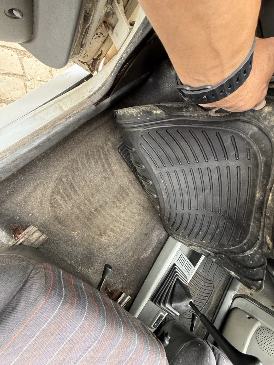 IMG_8664 – grande.jpeg