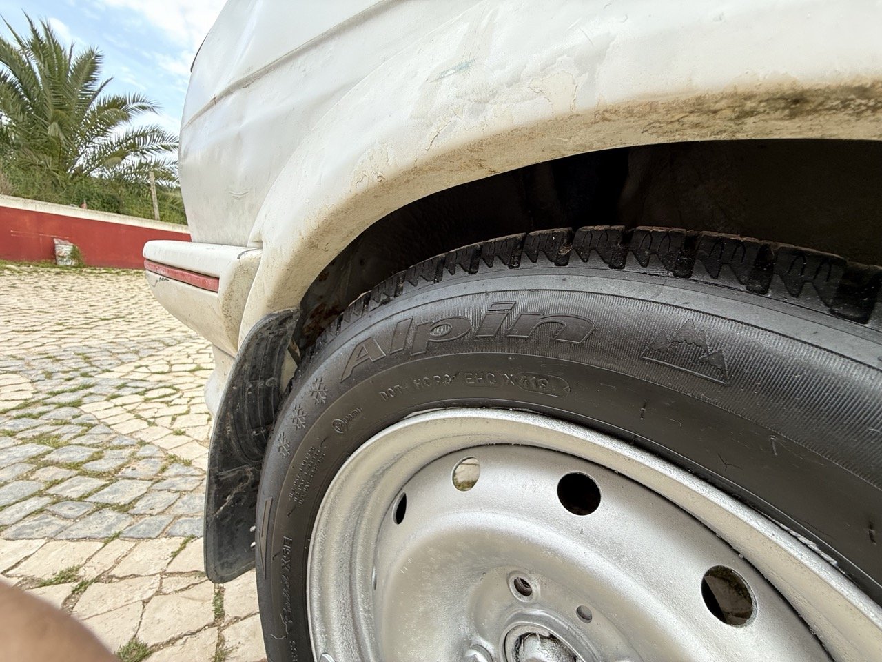 IMG_8662 – grande.jpeg