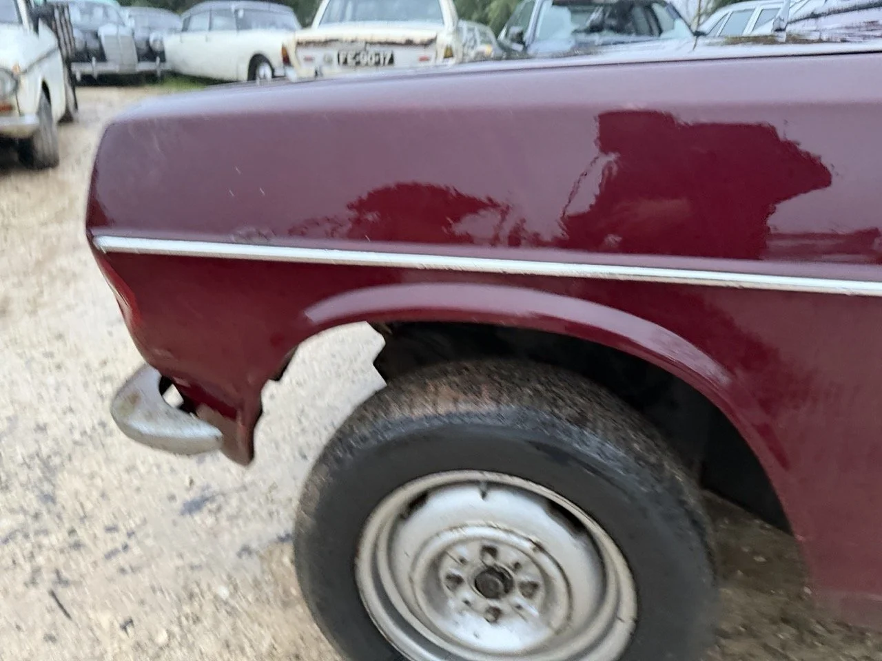 IMG_0293 – grande.jpeg