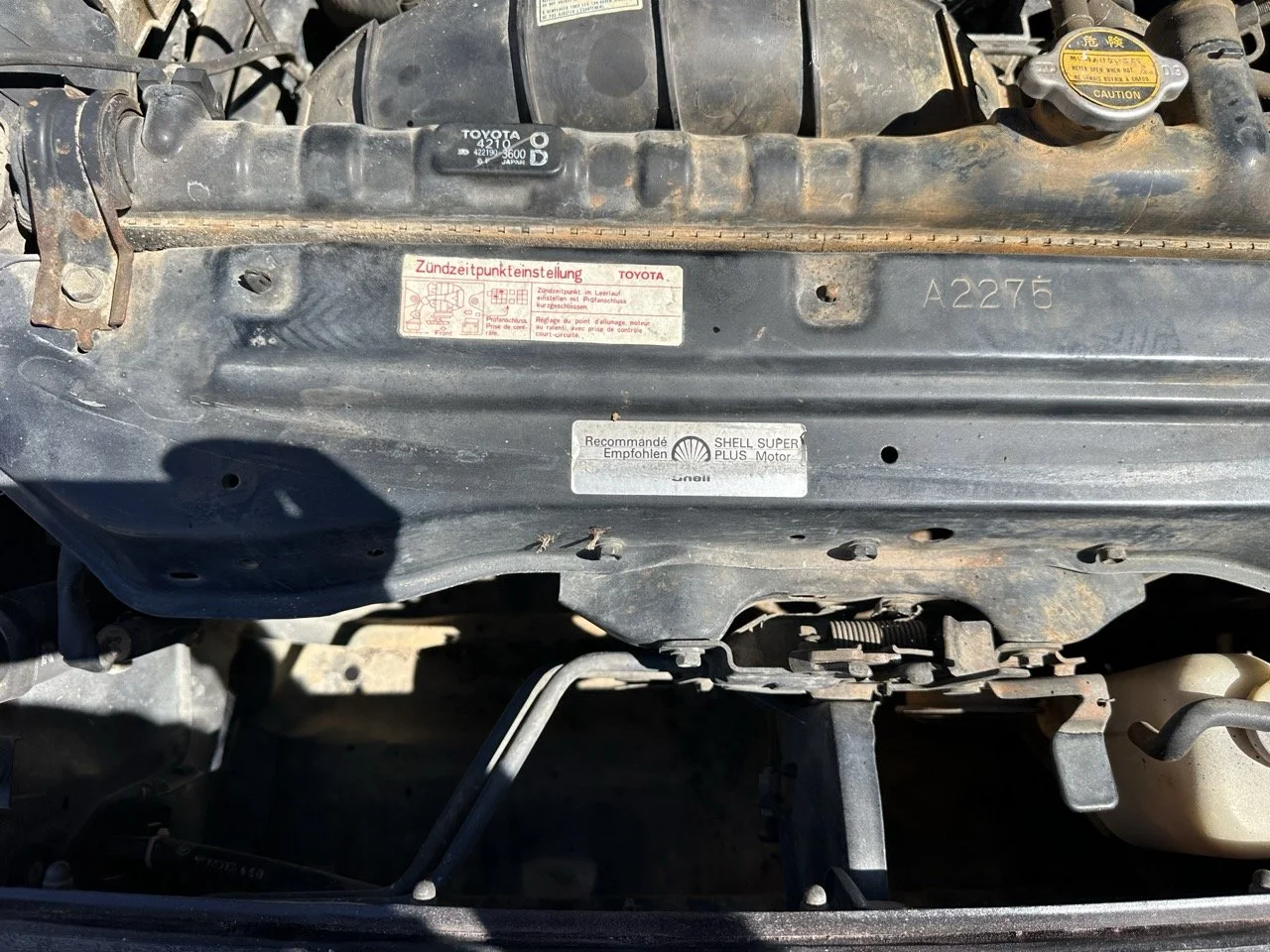 IMG_3080 – grande.jpeg