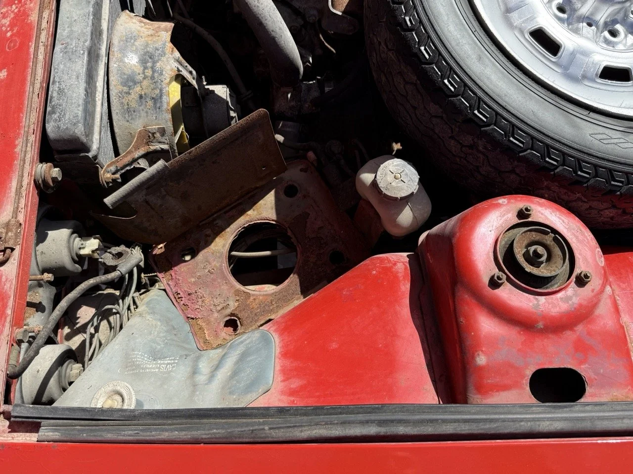 IMG_2290 – grande.jpeg