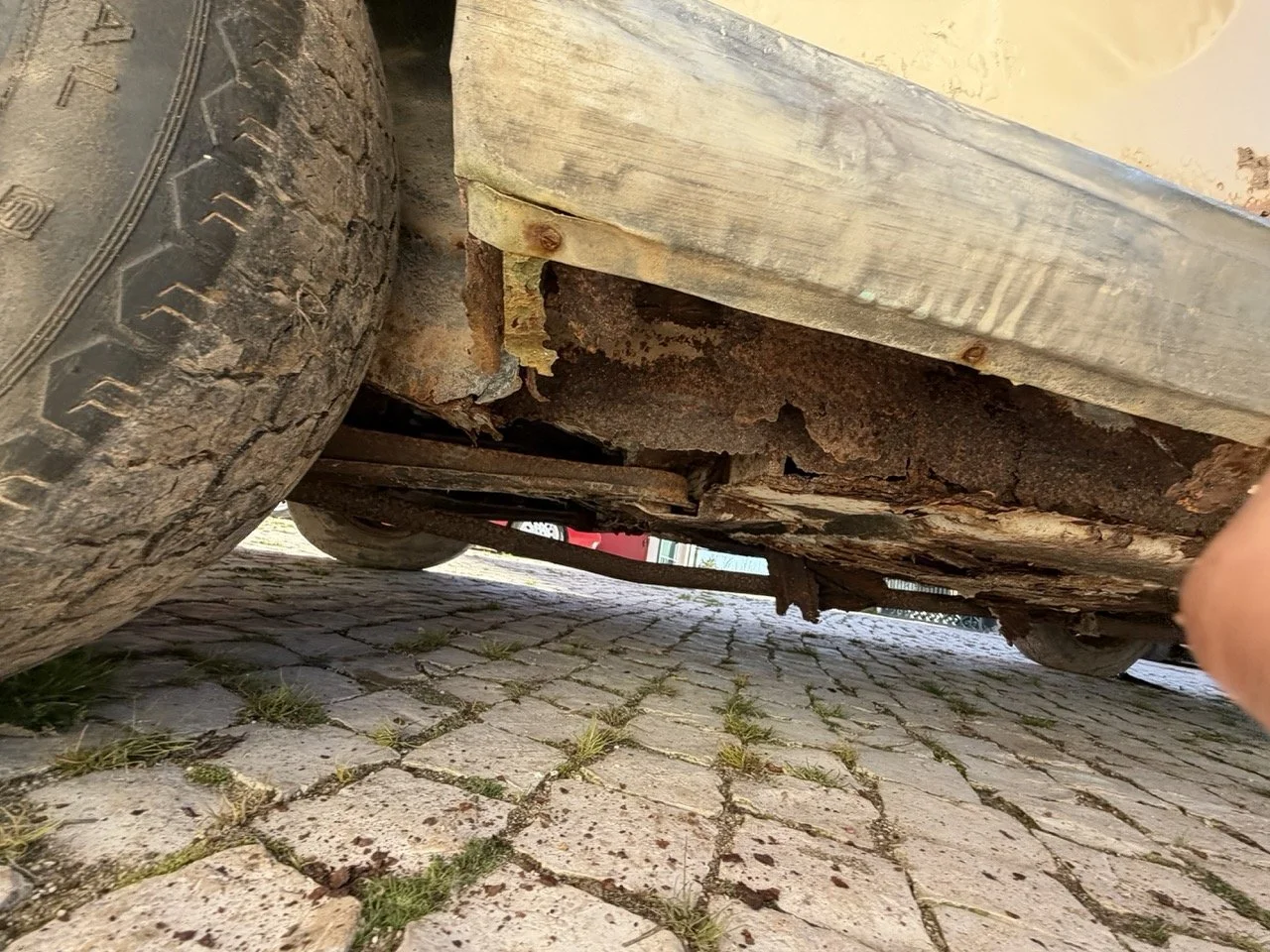 IMG_7071 – grande.jpeg